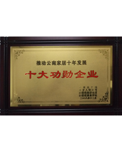 2008年十大功勛企業(yè)