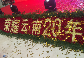 得勝家居企業(yè)集團20周年慶典隆重舉行